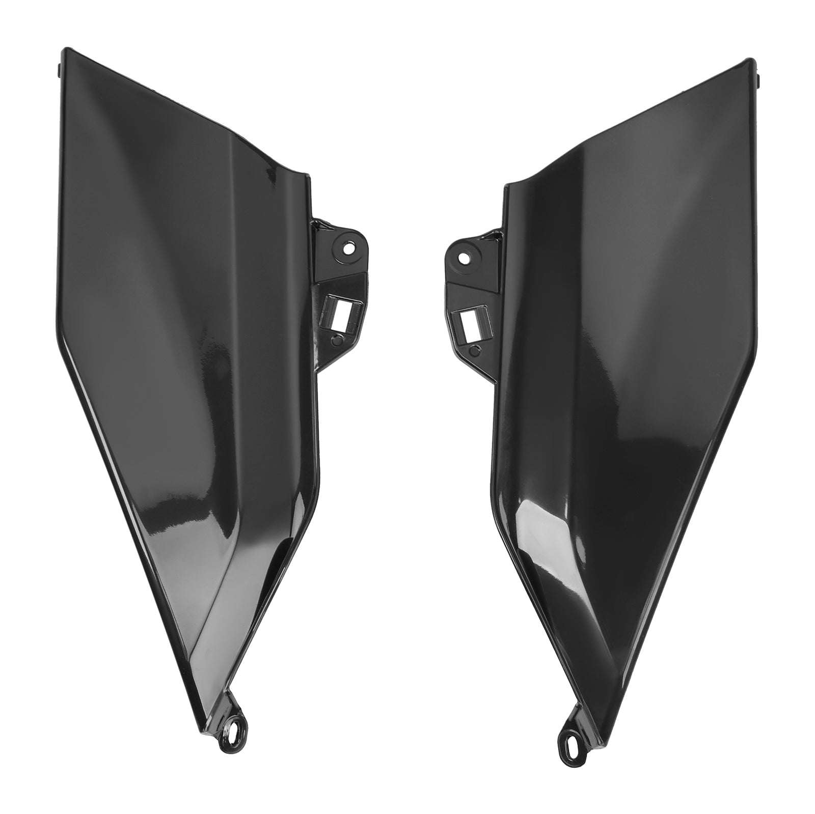 Neposmenjeni vbrizgani telesni sejmi za BMW R1300GS 2024-2025