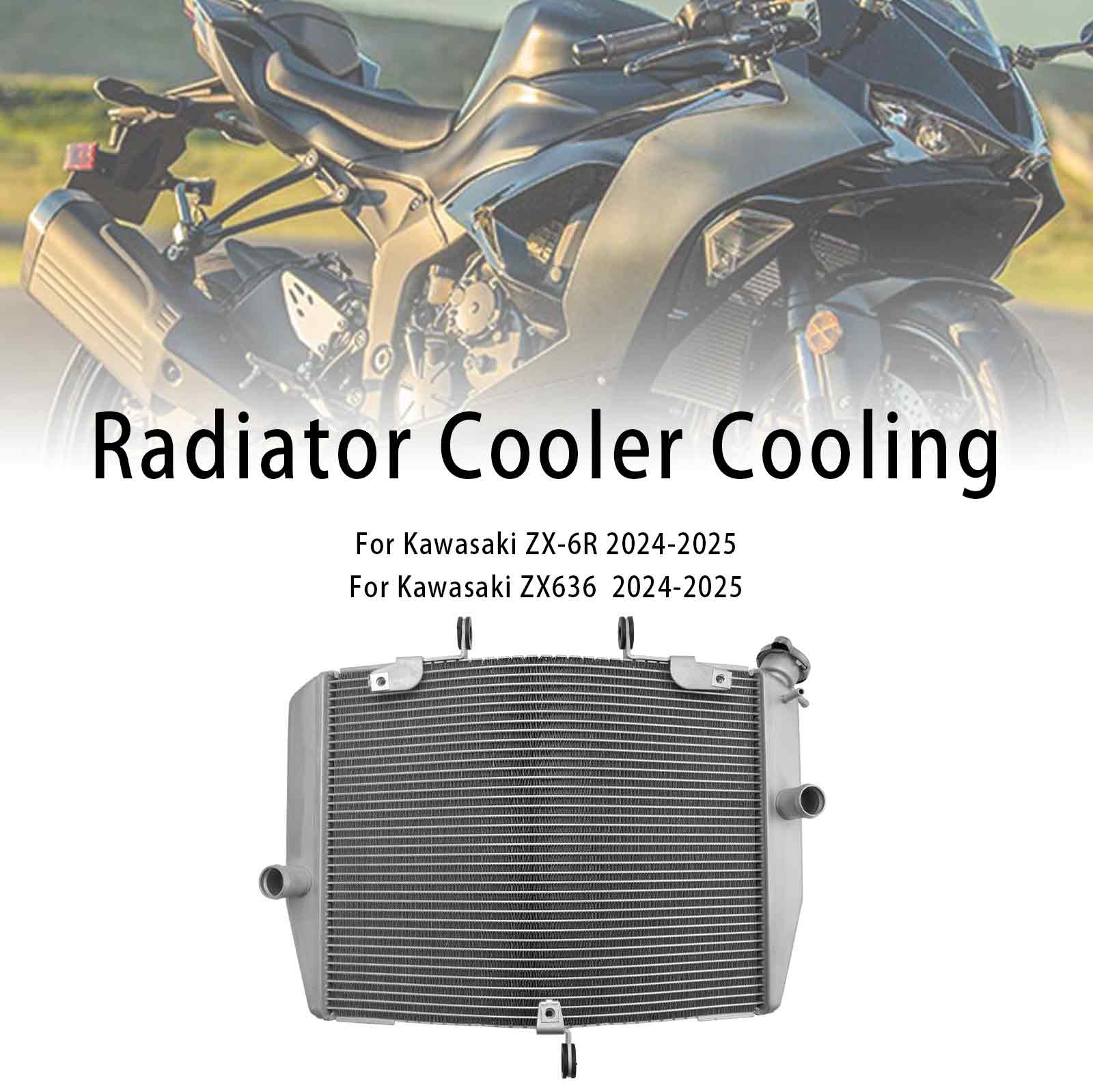 Kawasaki ZX-6R ZX636 2024-2025