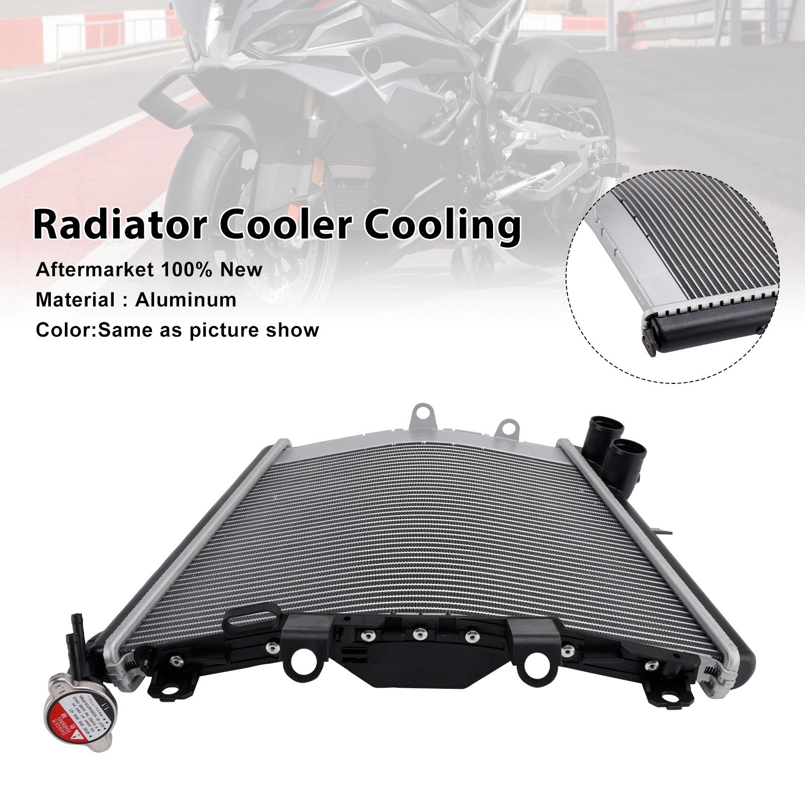 Enfriador de radiador para motor BMW M1000R (2023-2025)