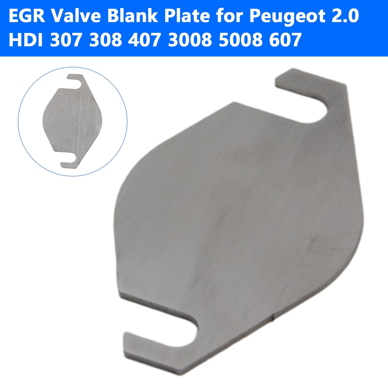Plaque d'obturation de vanne EGR Peugeot 2.0 HDI 307 308 407 3008 5008 607