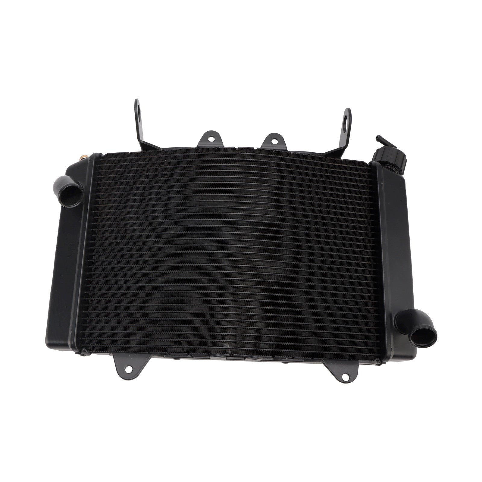 Refroidisseur de radiateur pour moteur de BMW 890 Duke (2021-2025)