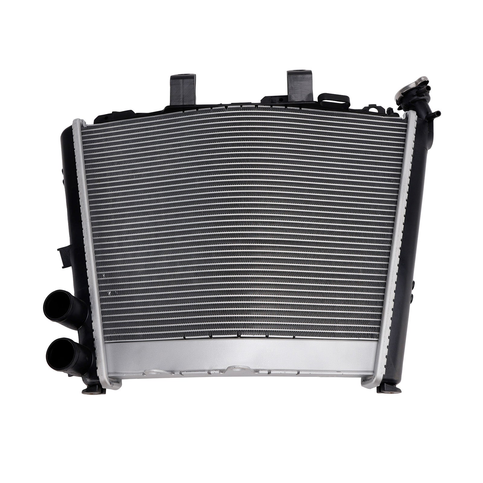 Enfriador de radiador para motor BMW S1000RR (2019-2025)