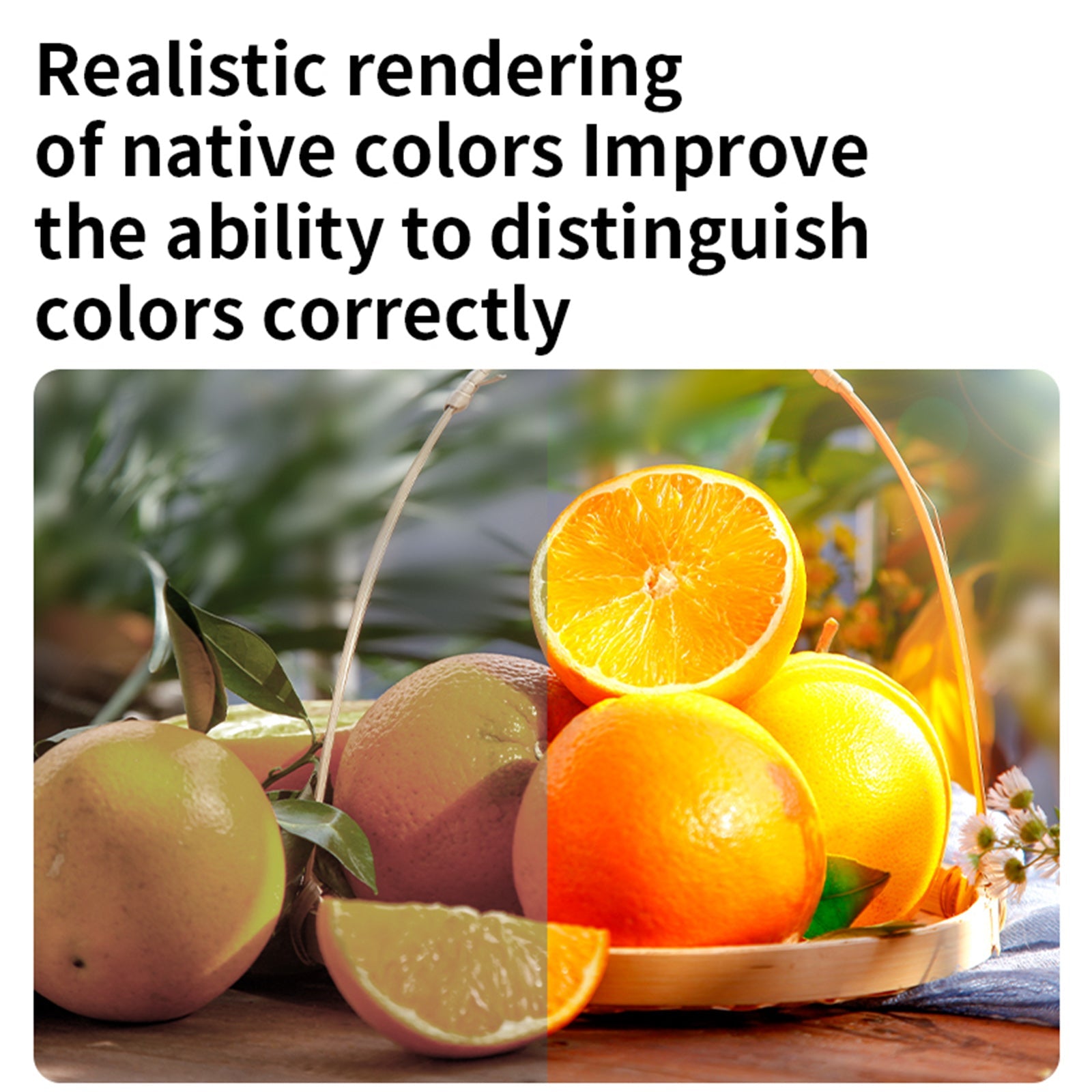 Kamera wideo D02 RGB Fill Light Telefon komórkowy Kolorowe światło wypełniające LED na żywo