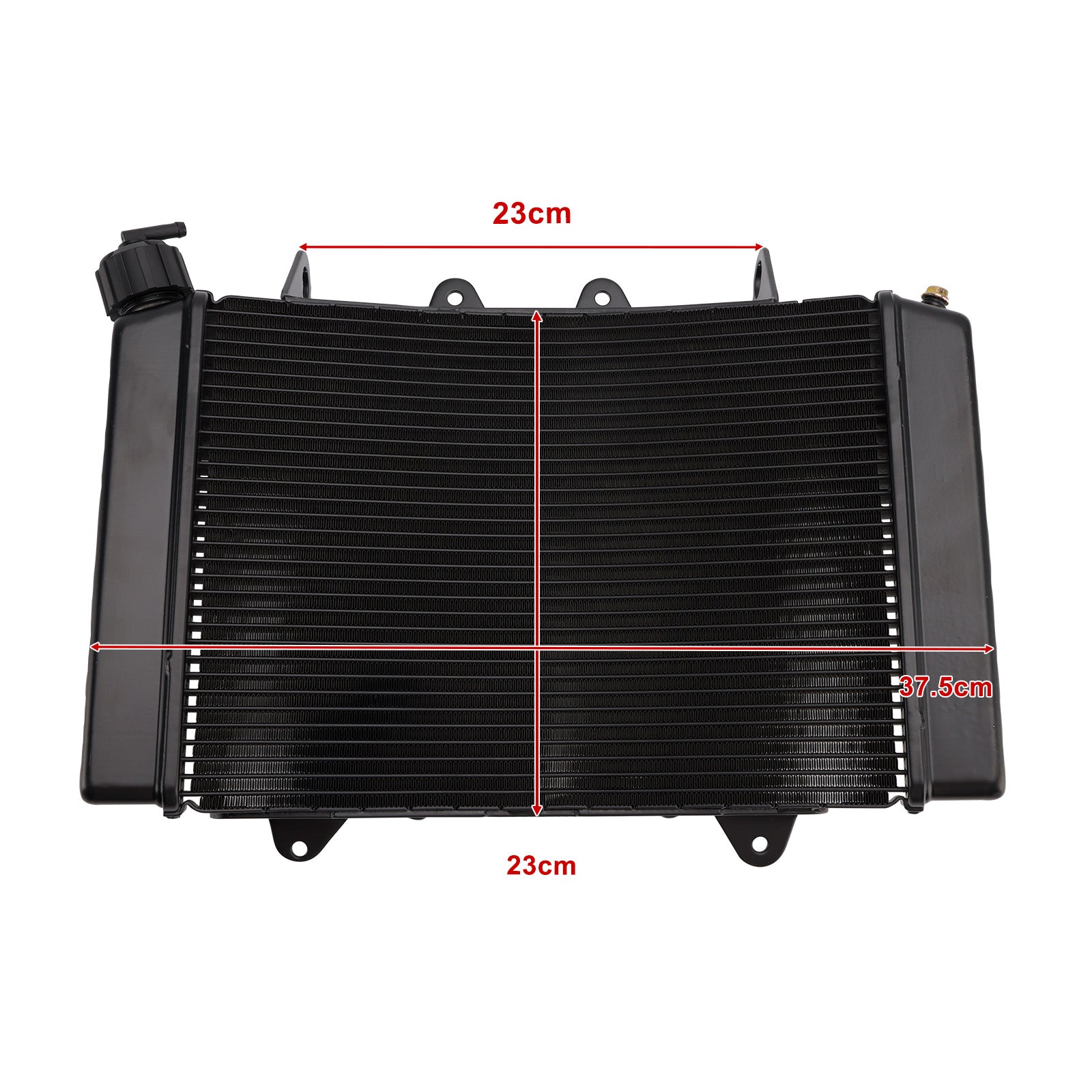 Refroidisseur de radiateur pour moteur de BMW 890 Duke (2021-2025)