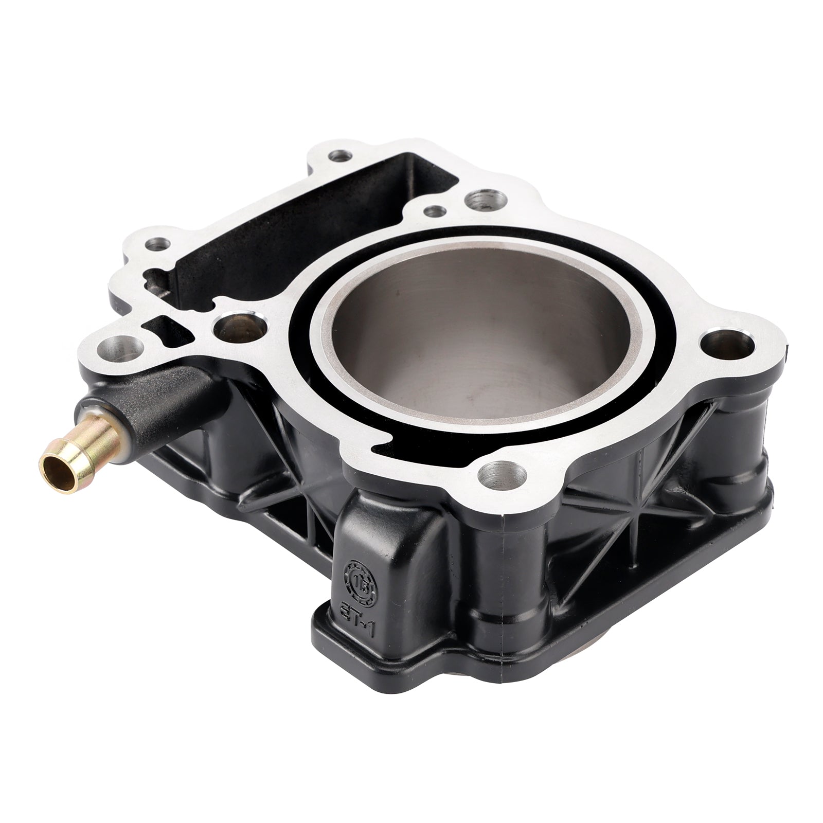 Kit cylindre-piston 250 cc pour Bajaj Pulsar 200 NS, NS200, RS200, BS3, BS4, BS6 (2012-2023)