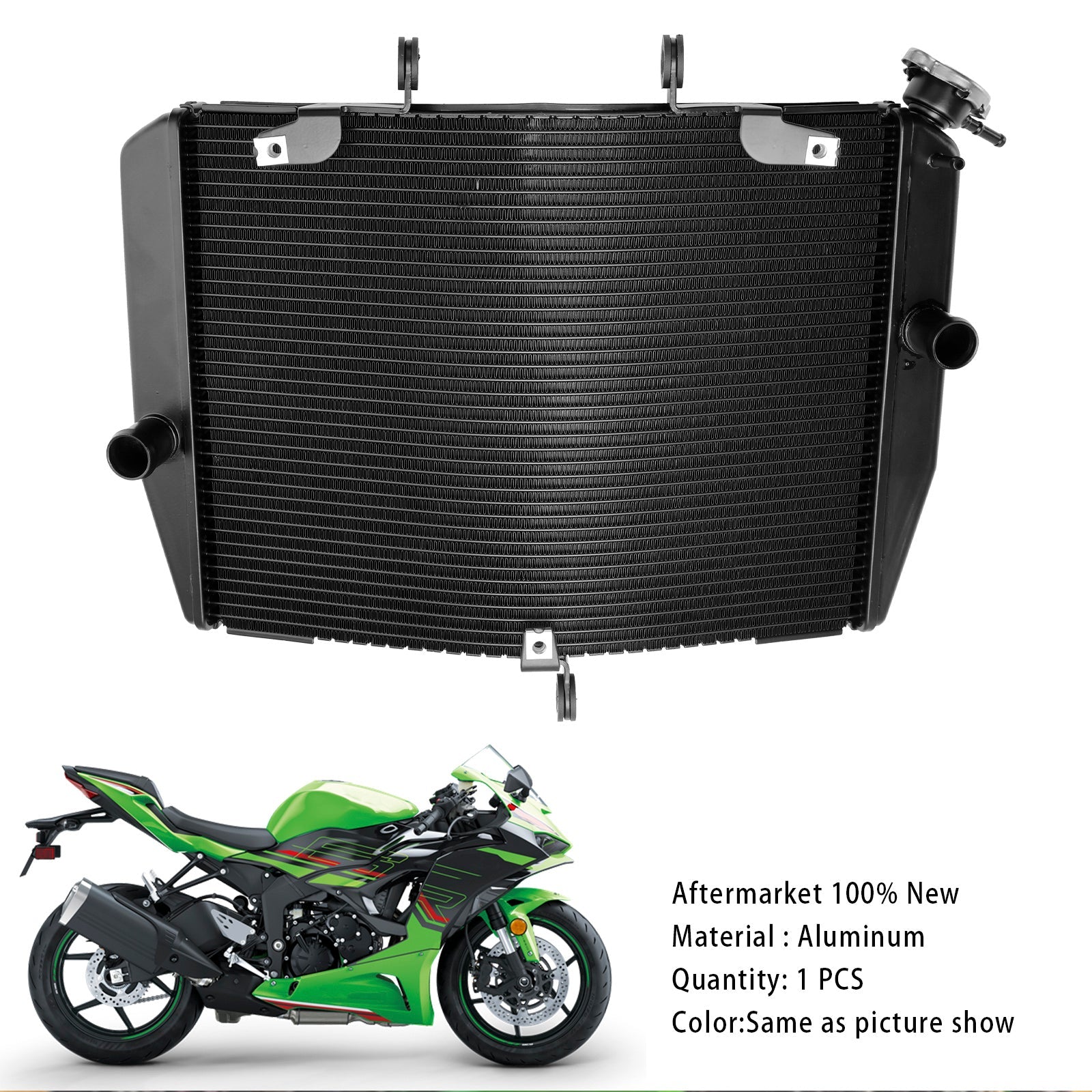 Kawasaki ZX-6R ZX636 2024-2025
