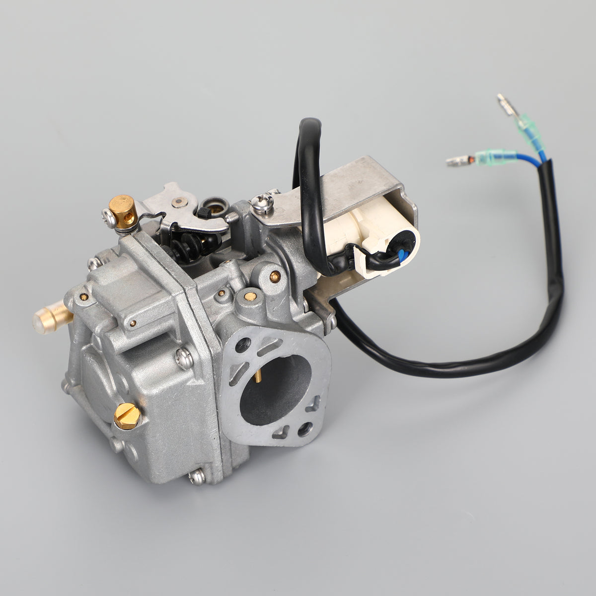 Carburatore per fuoribordo Yamaha 4 tempi F20 07-18 6AH-14301-00 6AH-14301-01