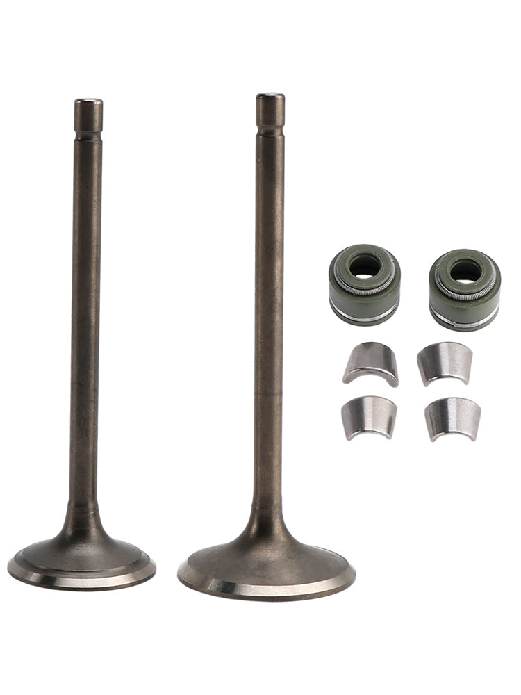 Kit de soupapes d'admission et d'échappement pour karting, moto tout-terrain et quad LIFAN ZONGSHEN CG250 250cc