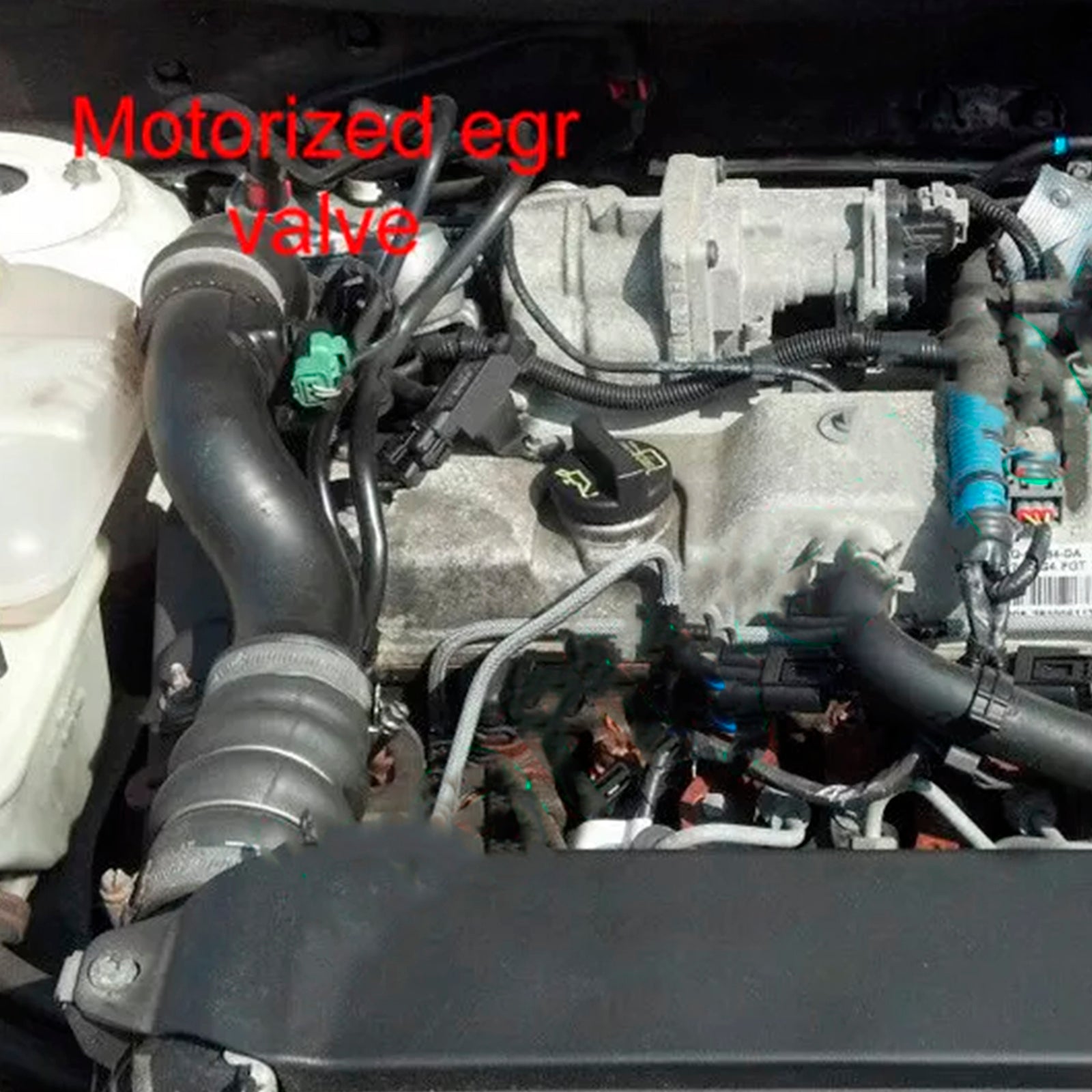 Placa de reparación de válvula EGR solo para Ford 1,8 TDCi Connect Focus Mondeo C-max Euro4