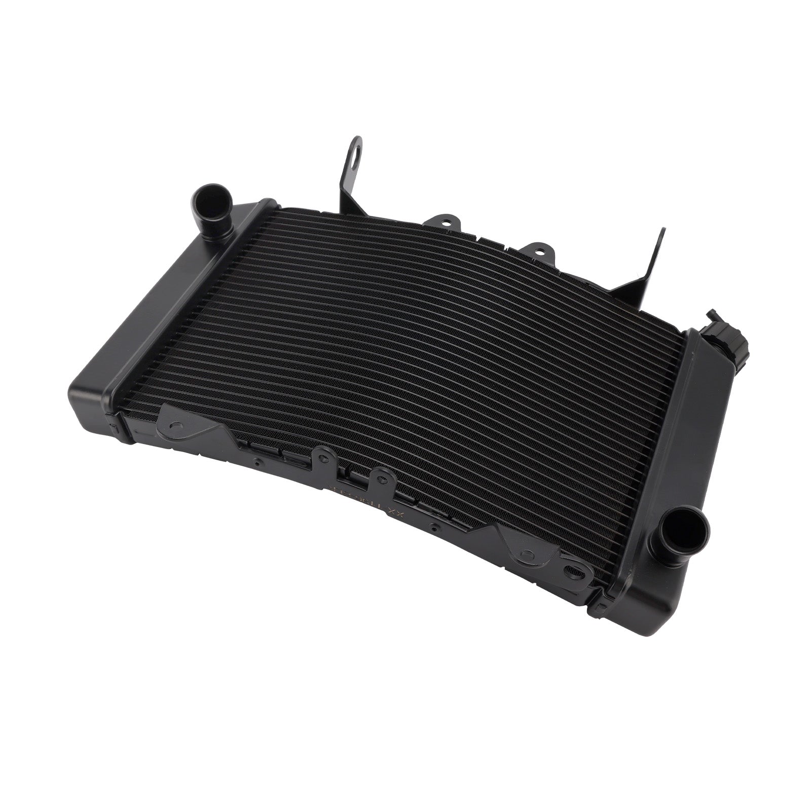 Refroidisseur de radiateur pour moteur de BMW 890 Duke (2021-2025)
