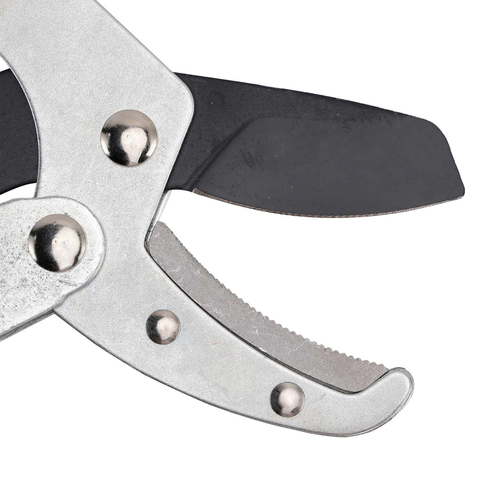 Sécateur Élagueur Télescopique Extensible 40 Pouces - Coupe-Branches Robustes