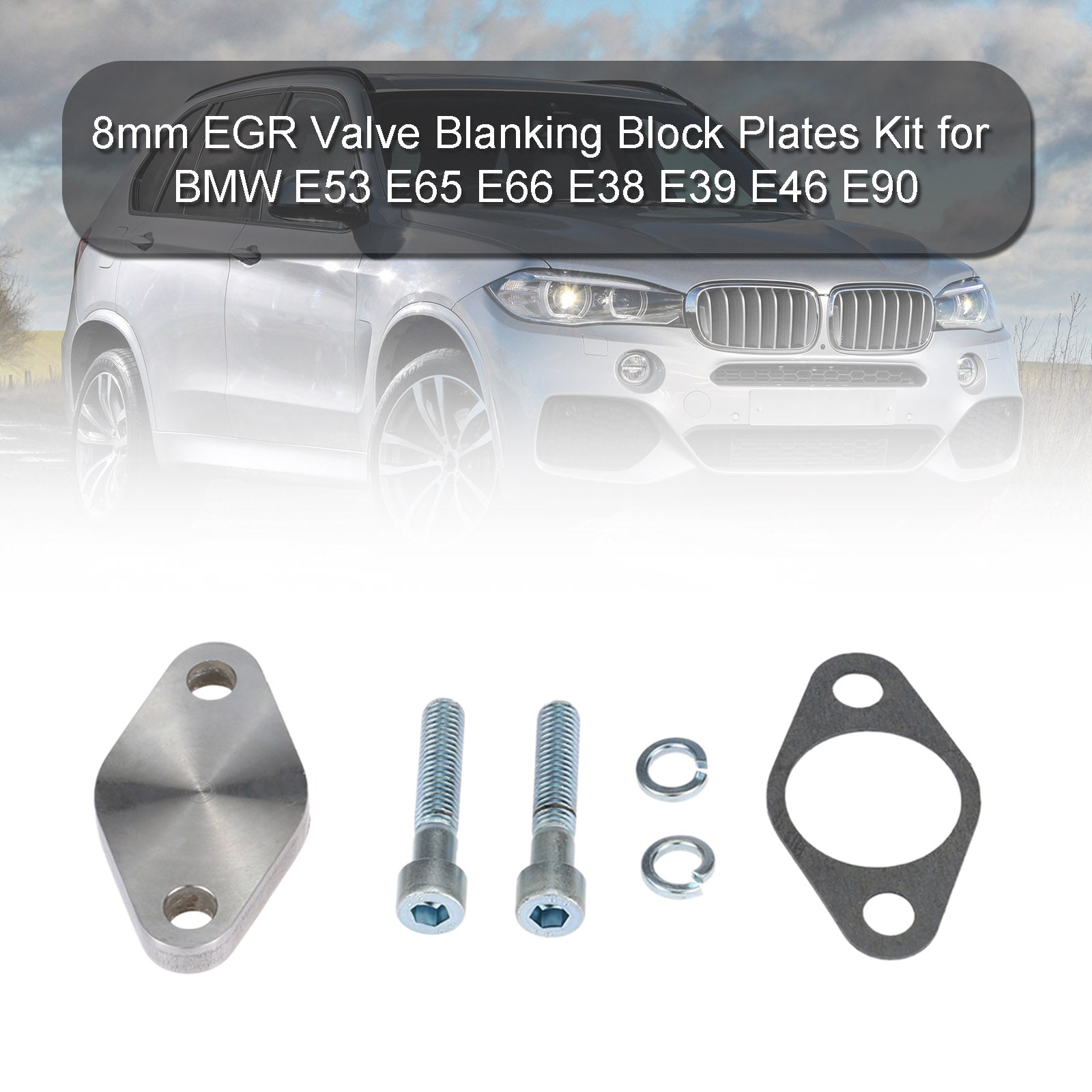 8mm EGR Valve Blanking Block Plates Kit for BMW E53 E65 E66 E38 E39 E46 E90