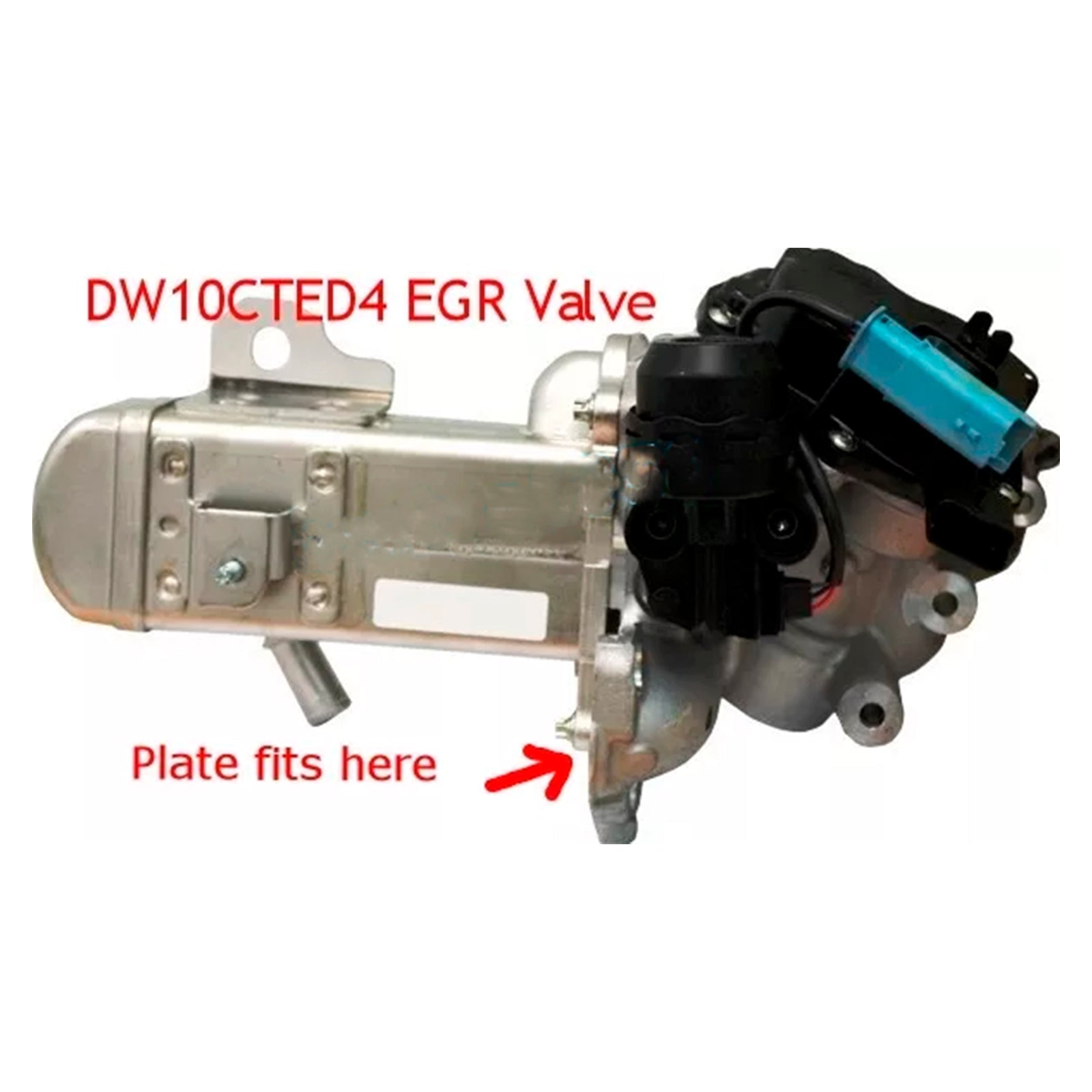 Plaque d';obturation de vanne EGR pour Ford Mondeo Kuga Focus 2.0L TDCi Euro5 DW10CTED4