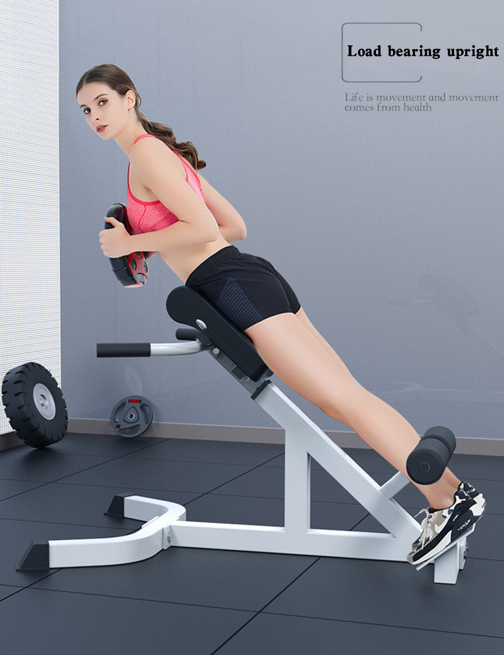 Banc de Musculation pour Dos - Adapté Jusqu'à 1.85m - Poids Max 136kg