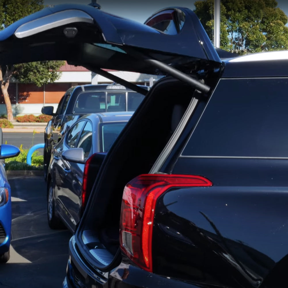 2020-2022 Hyundai Palisade 2PCS Vérins de hayon électriques 81831-S8100