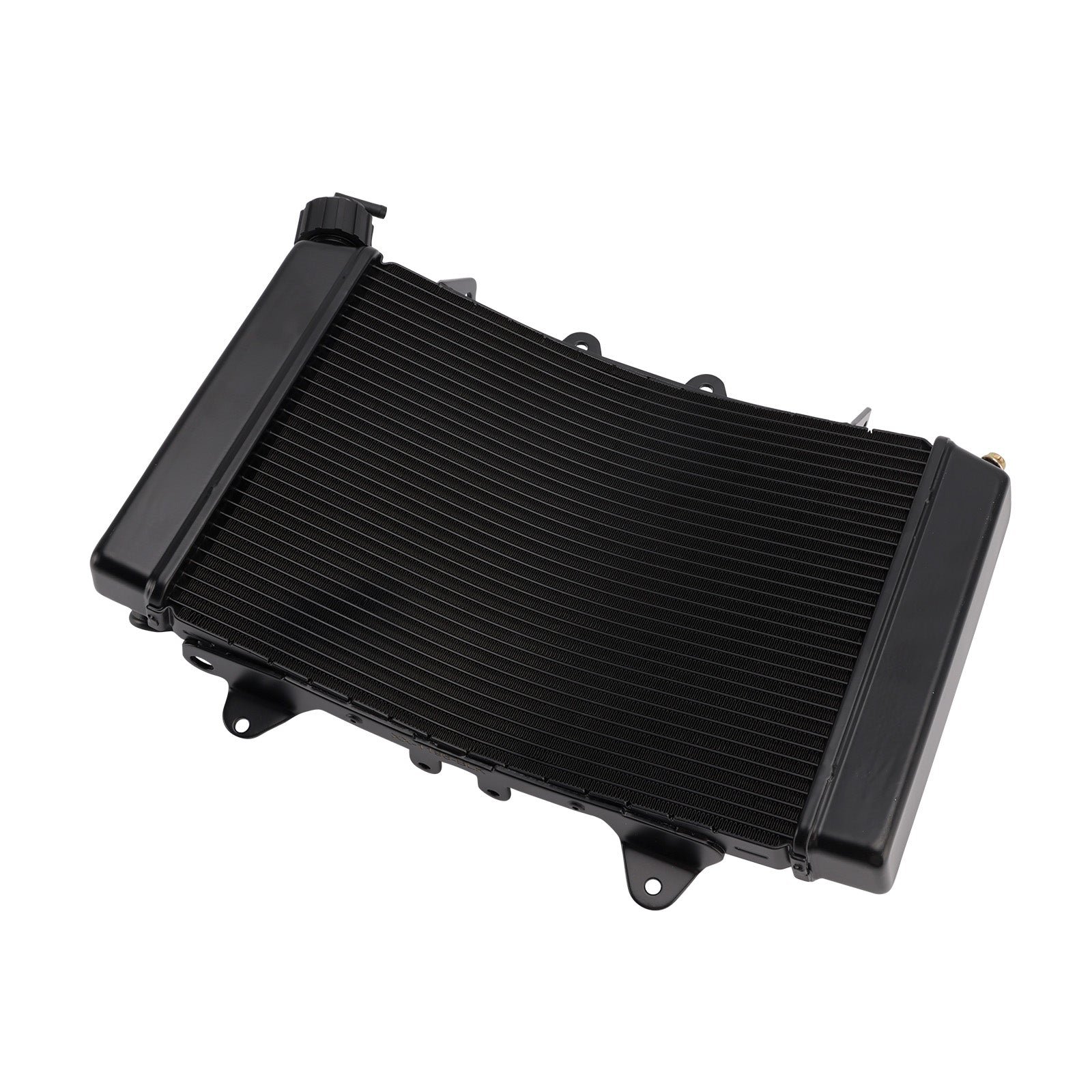 Refroidisseur de radiateur pour moteur de BMW 890 Duke (2021-2025)