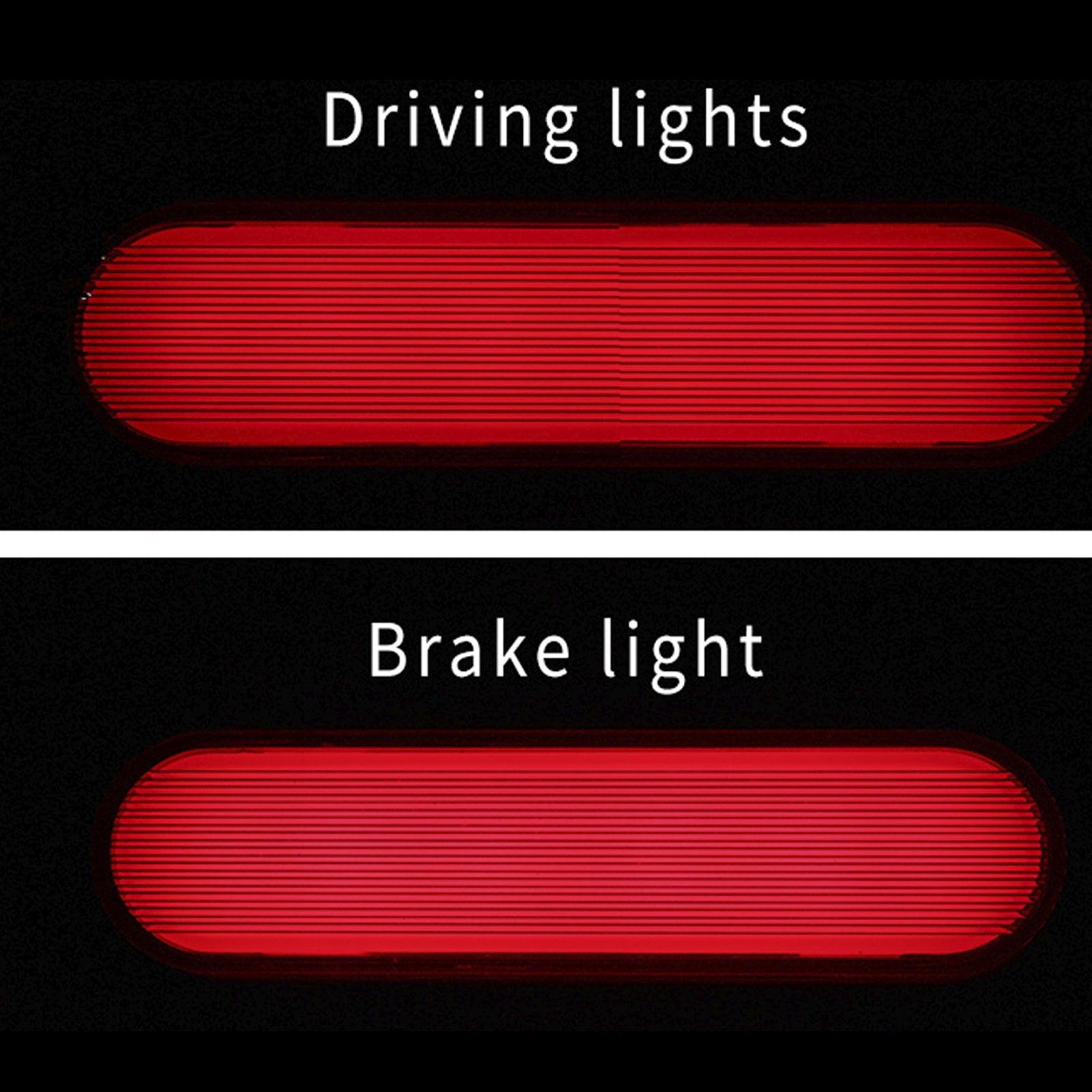 Soporte de matrícula para piloto trasero Harley Sportster S 1250 (RH 1250S) 2021-2024