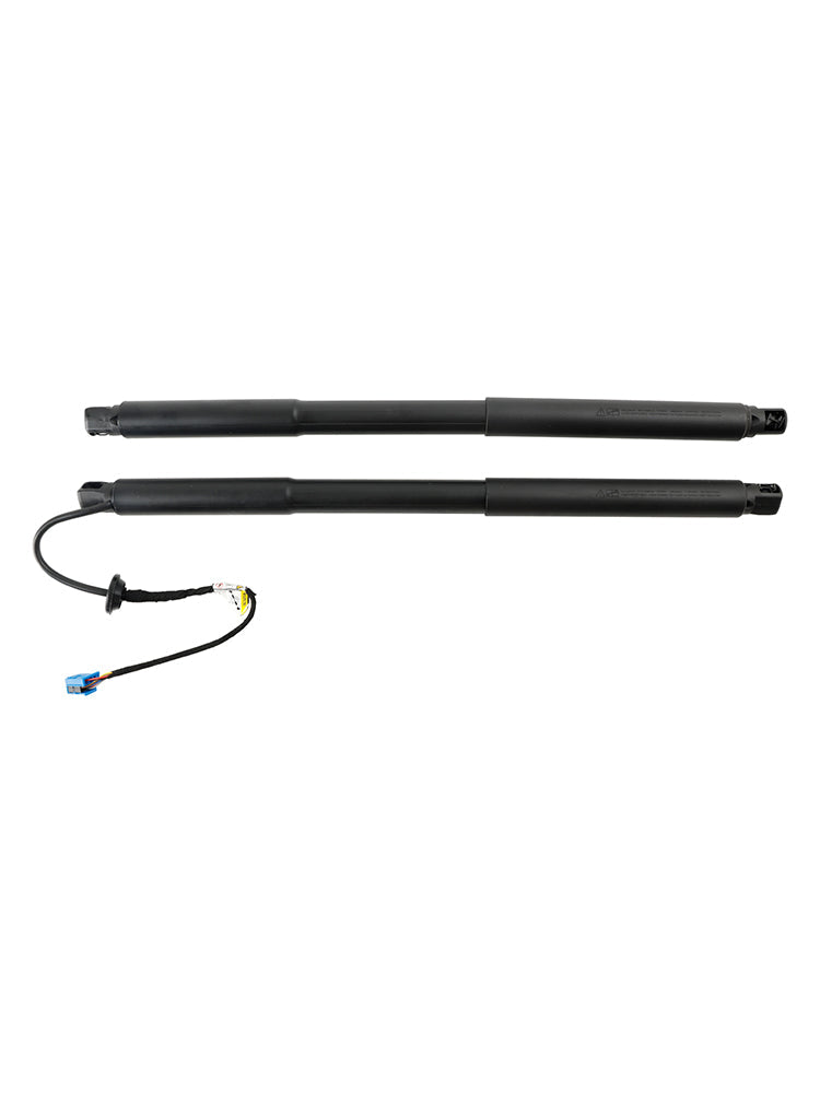 Mercedes-Benz ML-Klasse GLE-Klasse 2013-2015 W166 2 stuks gasveren voor de achteras van een automatische achterklep 1668901130 1669802164