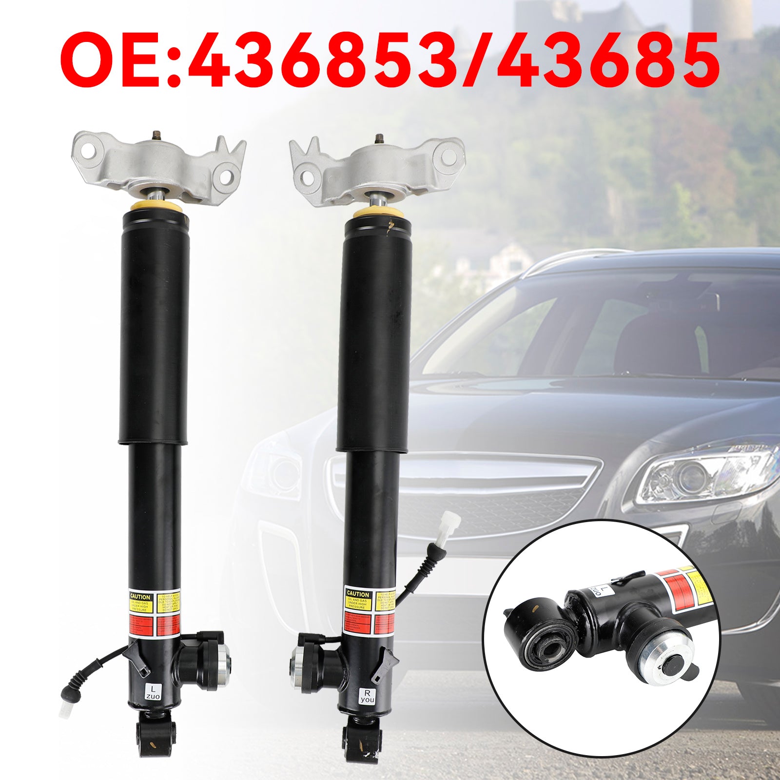 Opel Insignia A 2008-2017 436853 436854 Par de patas de amortiguadores traseros Ferdex Express