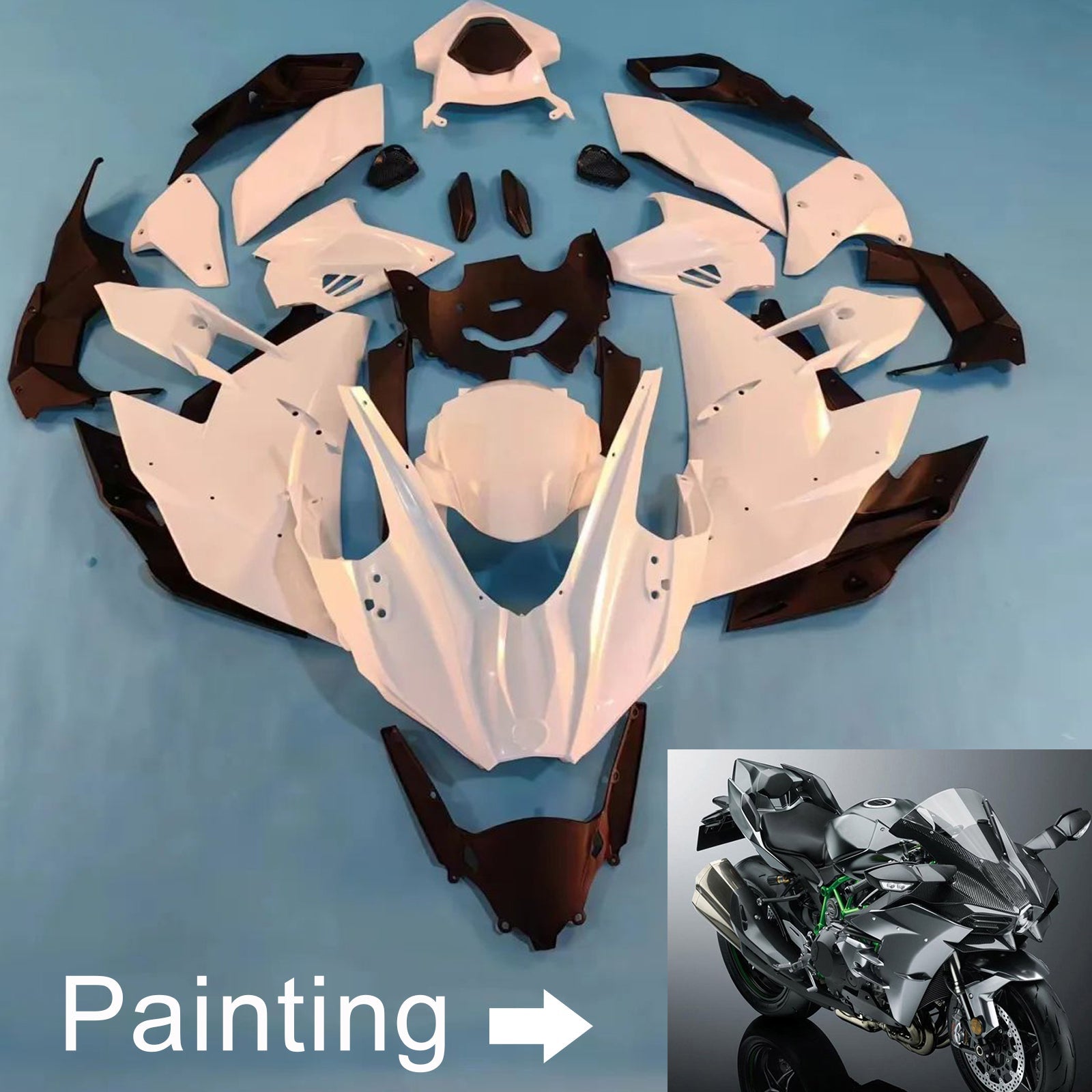 Injection Fairing Kit Bodywork ABS fit For Kawasaki Ninja H2 2015-2022