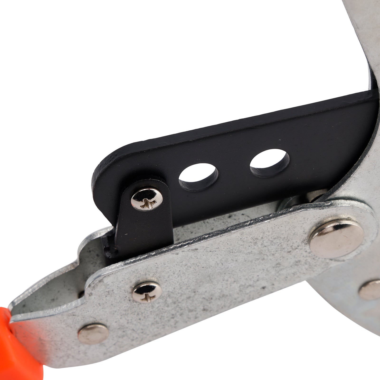 Sécateur Élagueur Télescopique Extensible 40 Pouces - Coupe-Branches Robustes