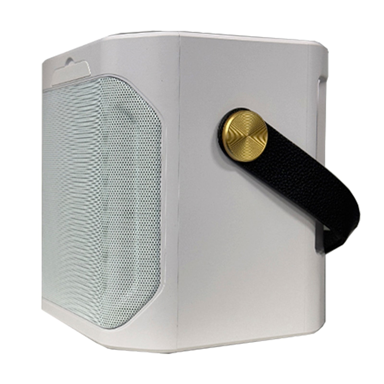 Altoparlante bluetooth wireless, doppio microfono, karaoke, portatile, per la casa