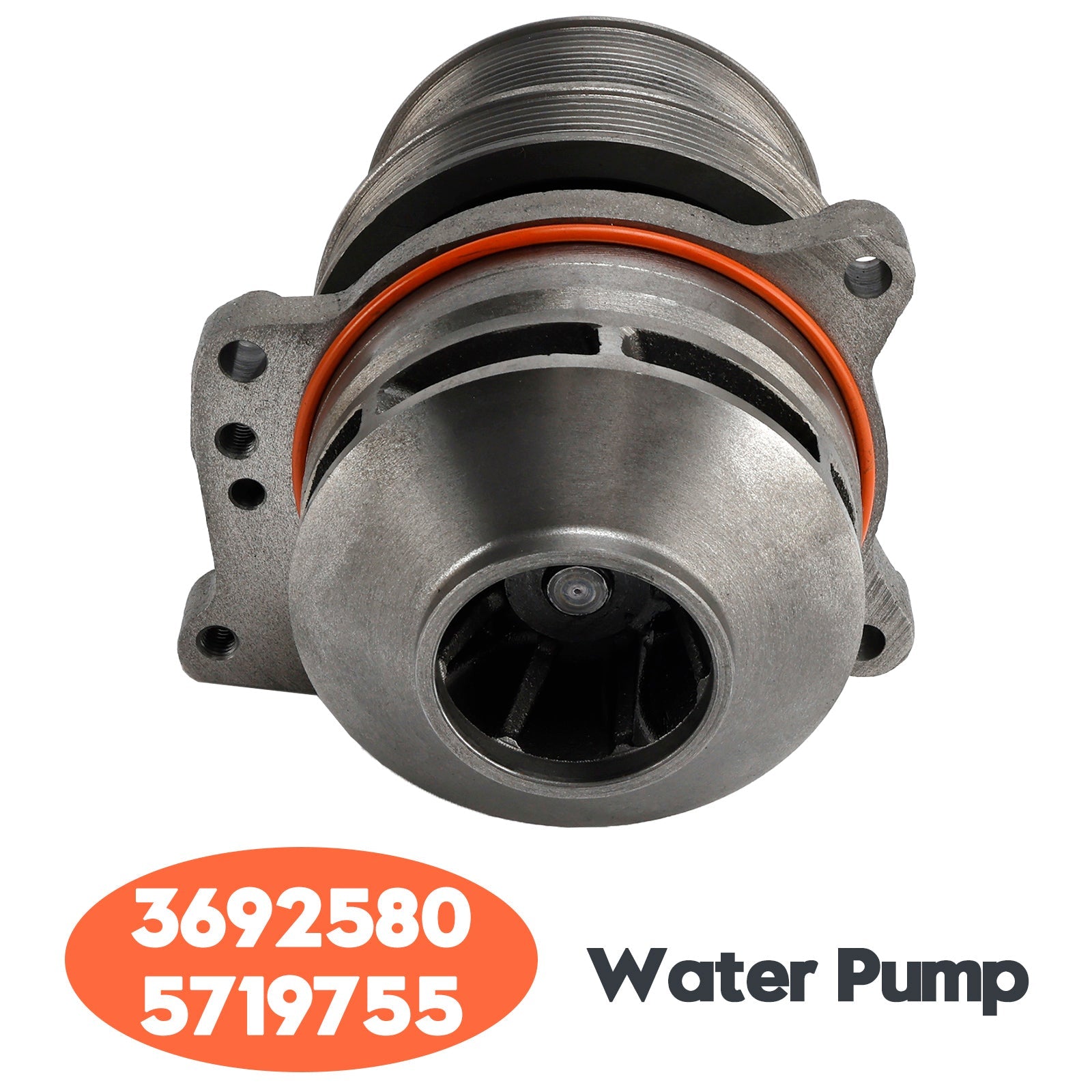 Pompa dell'acqua 3692580 5719755 per Cummins ISX15 QSK60 X15 ISX12 G Engine