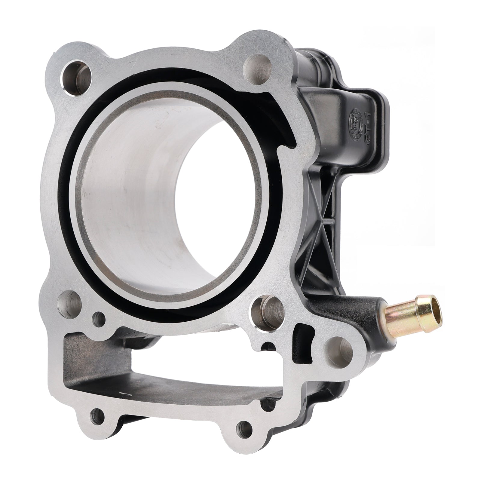 Kit cylindre-piston 250 cc pour Bajaj Pulsar 200 NS, NS200, RS200, BS3, BS4, BS6 (2012-2023)