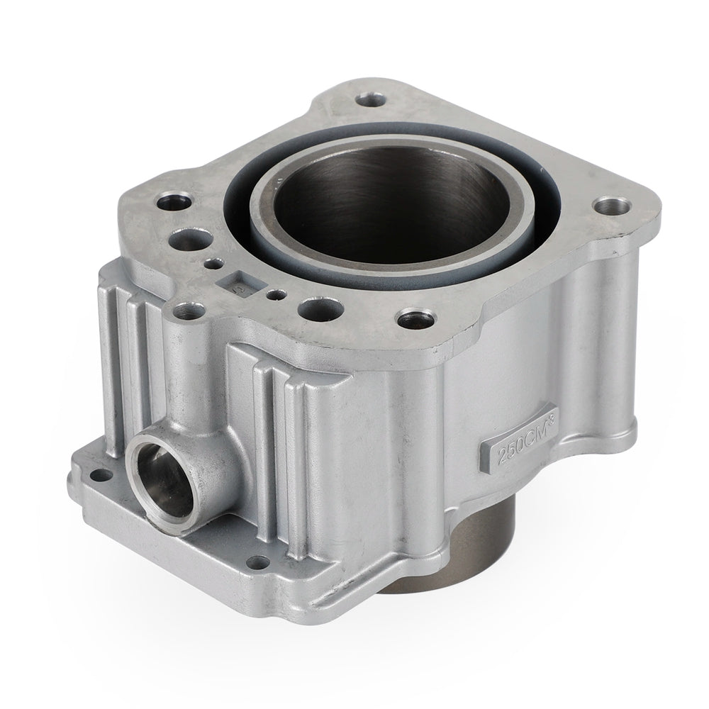 Zongshen Quad ATV CG 250 Kit de pistón de cilindro refrigerado por agua JUNTA 67 mm