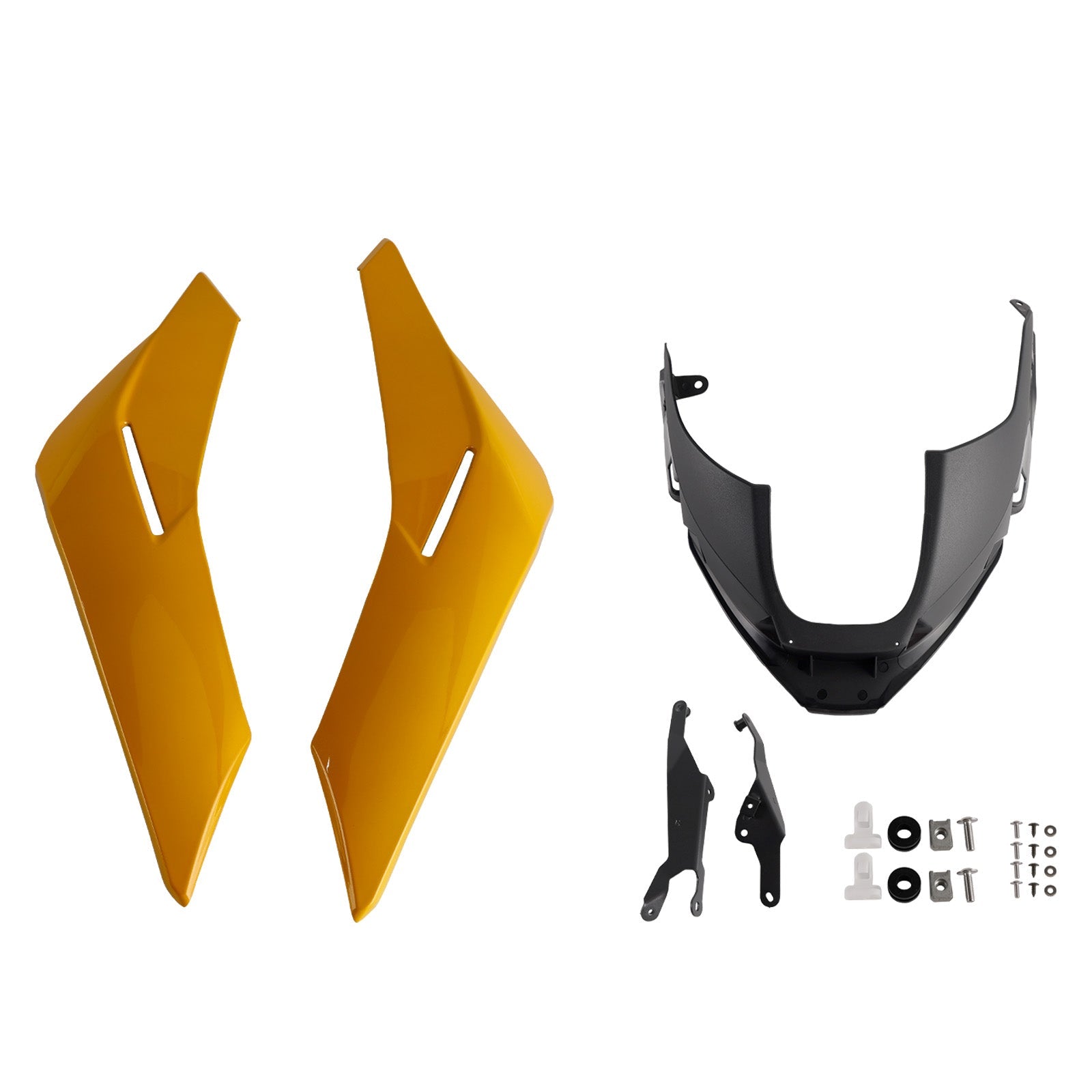 Carénage de protection de bas de caisse pour moteur Street Triple 765 R/RS 2023-2025