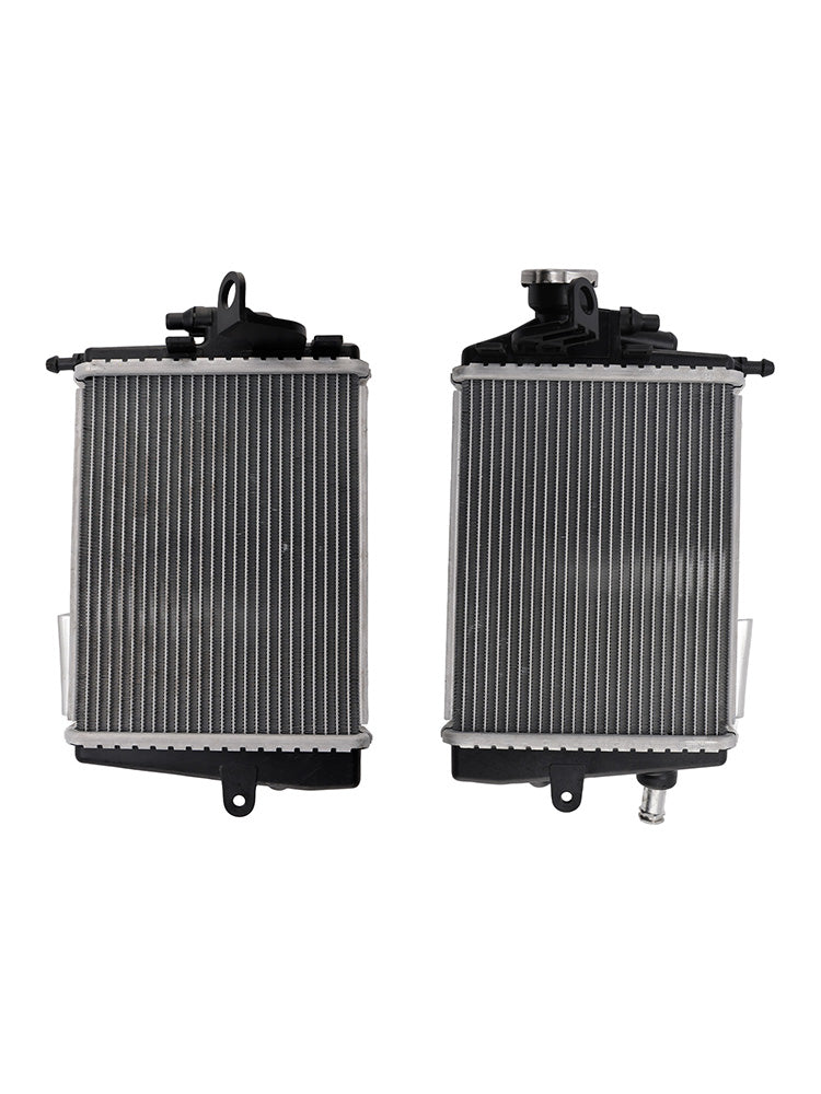 Radiateurkoeler voor BMW R1300GS 2024-2025 motor