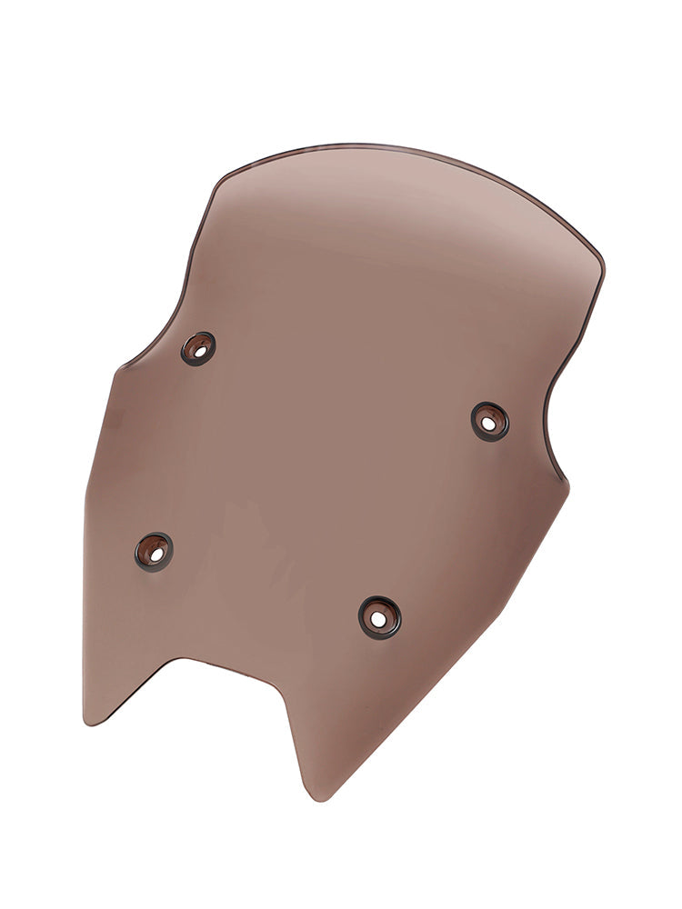 BMW R1250RS 2019-2024 Parature