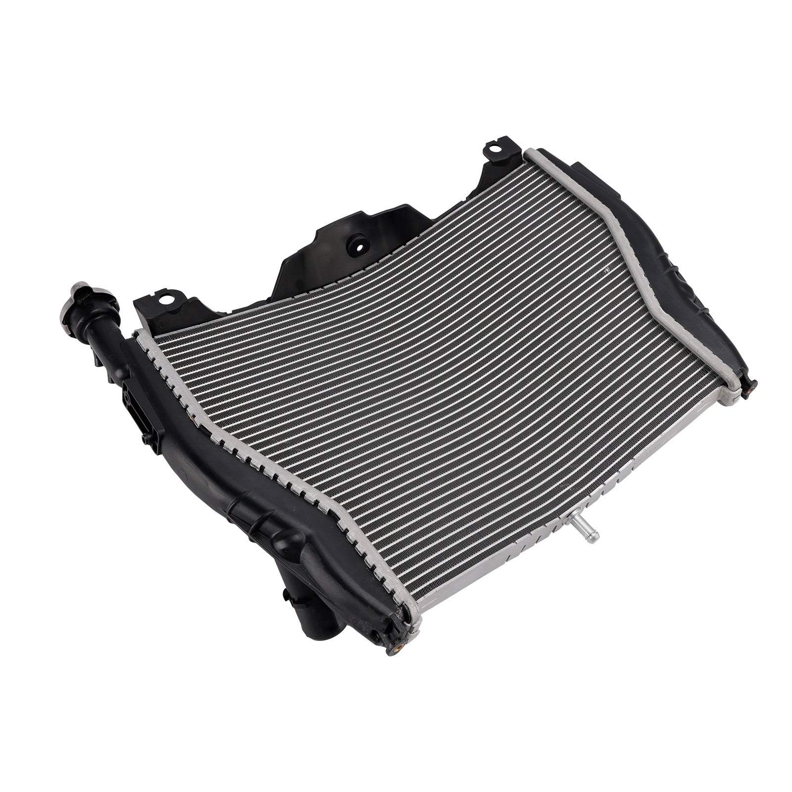 Refroidisseur de radiateur en aluminium pour moteur BMW S1000R (2015-2018)