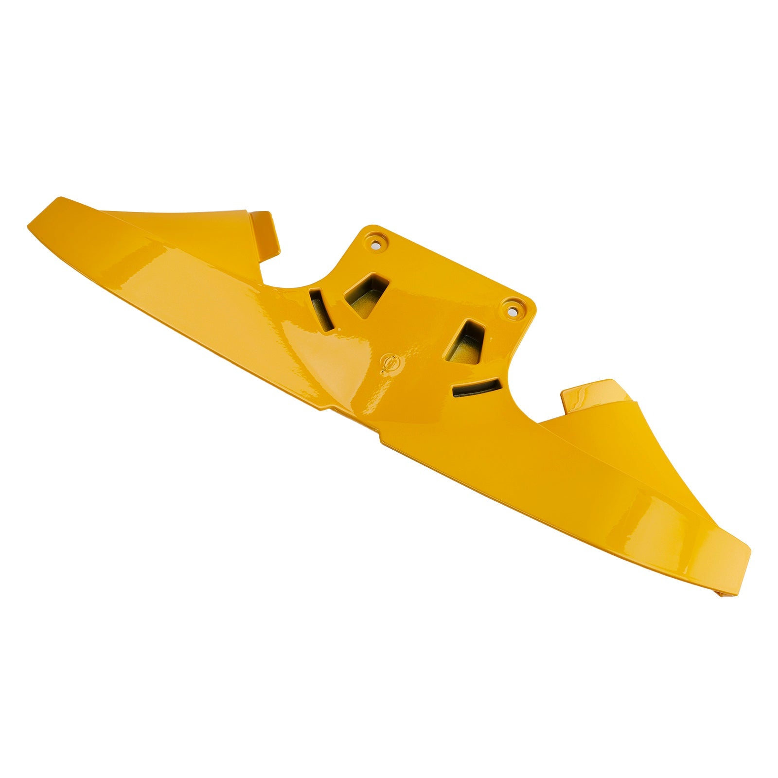 Aileron avant pour Street Triple 765R/RS 2023-2025