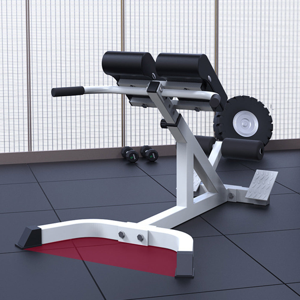 Banc de Musculation pour Dos - Adapté Jusqu'à 1.85m - Poids Max 136kg