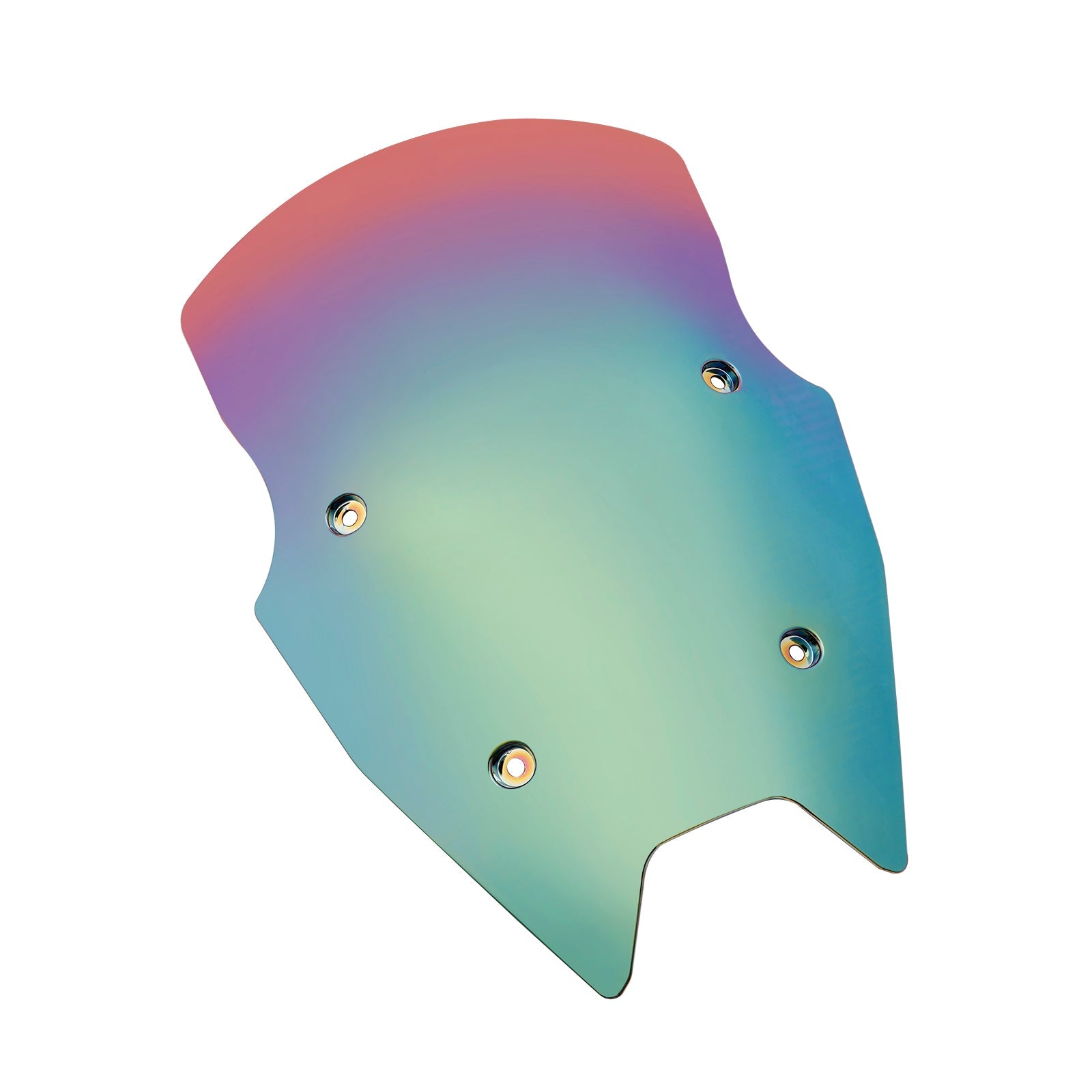 BMW R1250RS 2019-2024 Parature