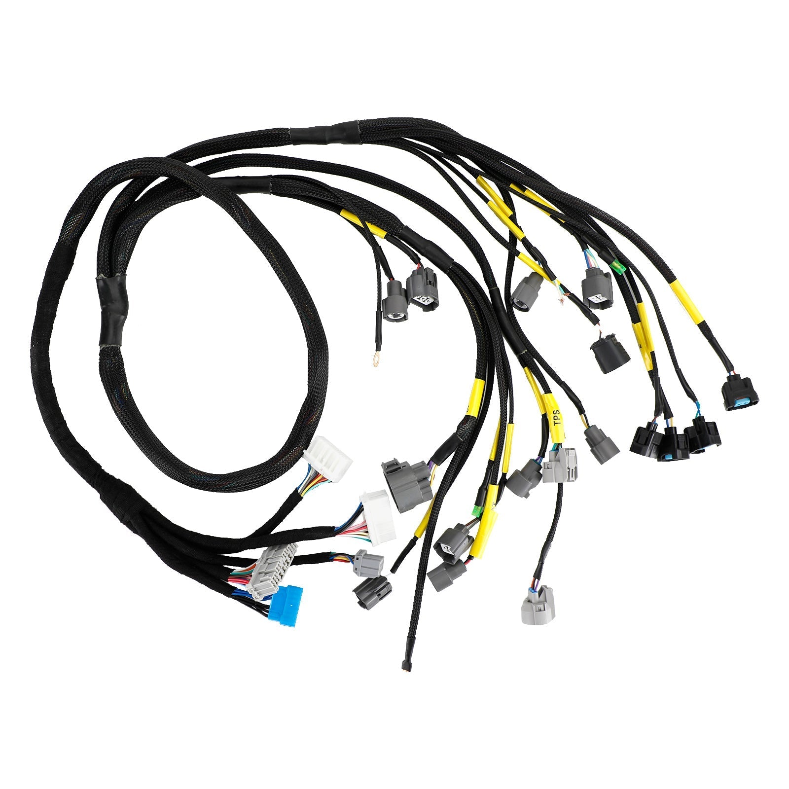 Cablaggio motore Honda Civic Integra B16 B18 D16 OBD2 Budget serie D e B