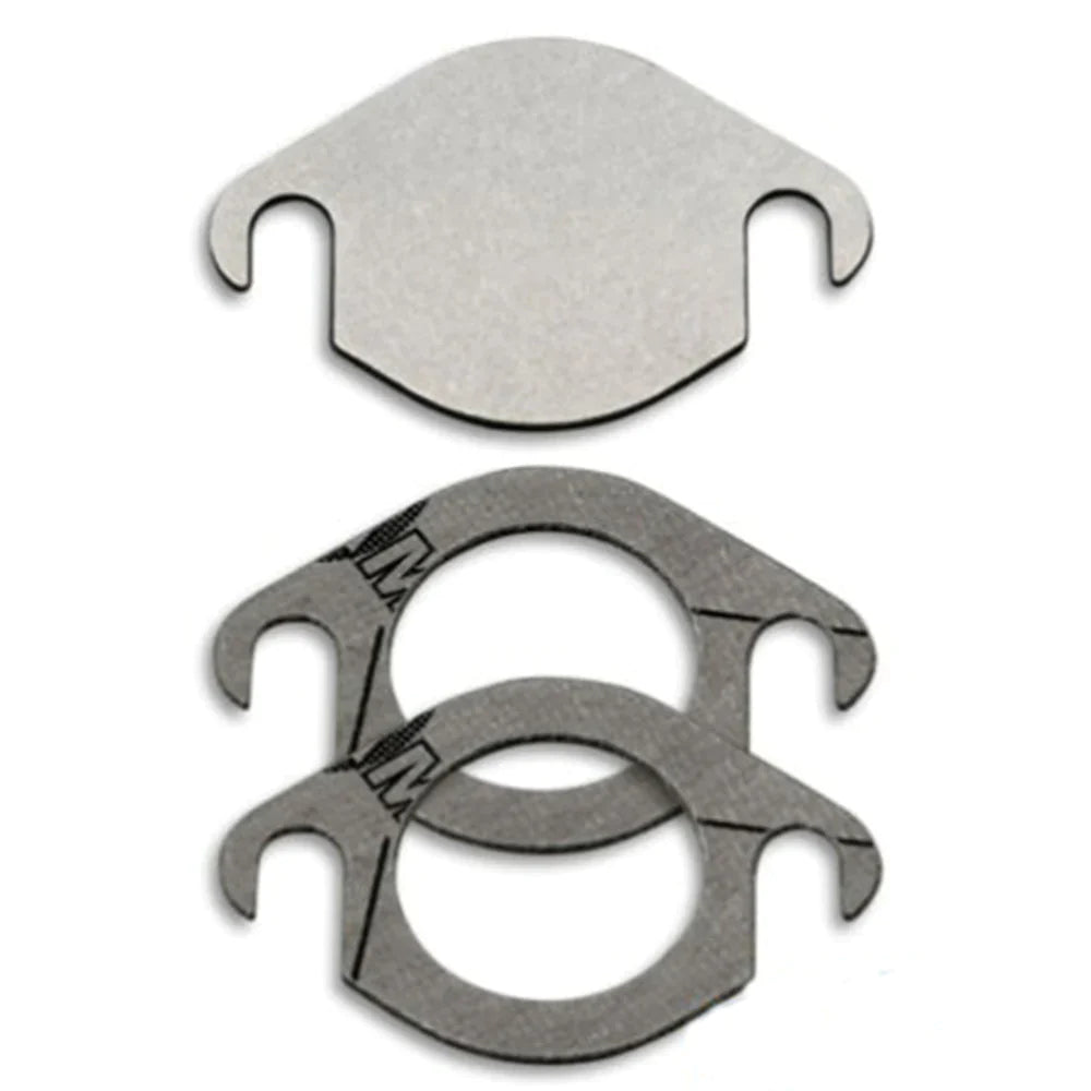 Audi A4/A5/A6/A8/Q5 Touareg 2.7 3.0 TDI EGR verwijder de blokkeerpakket