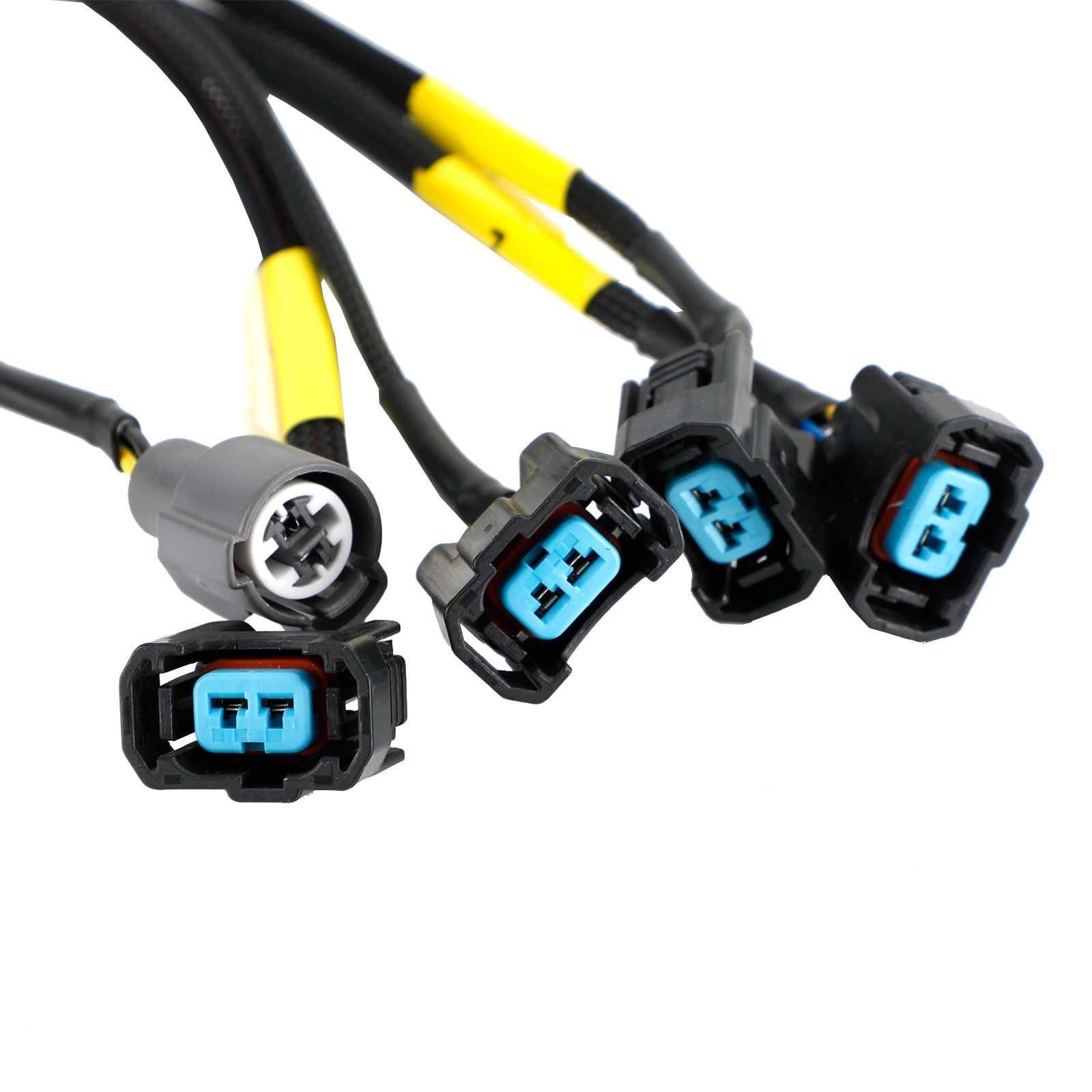 Cablaggio motore Honda Civic Integra B16 B18 D16 OBD2 Budget serie D e B