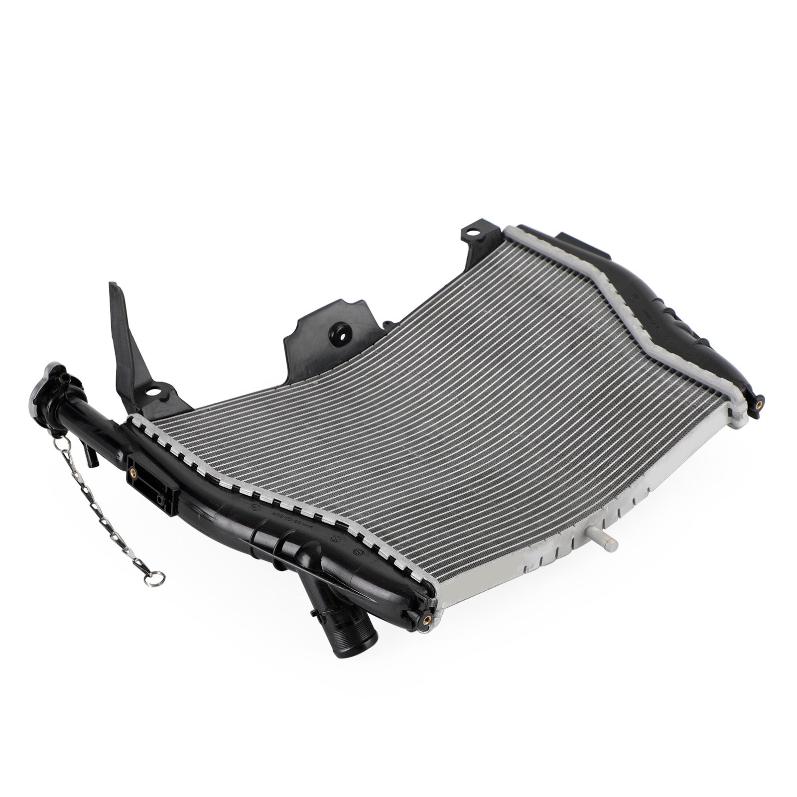 Refrigeración del radiador del motor BMW S1000RR 2009-2019