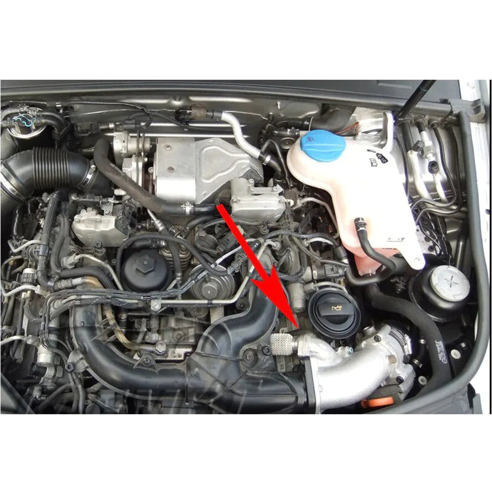 Audi A4/A5/A6/A8/Q5 Touareg 2.7 3.0 TDI EGR verwijder de blokkeerpakket