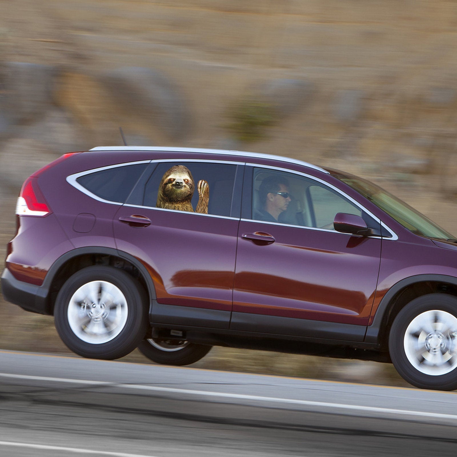 Auton ikkunan tarra Henkilön koko Matkustajan puolen laiskuus oikea heiluttaa Hauska yleinen yleinen