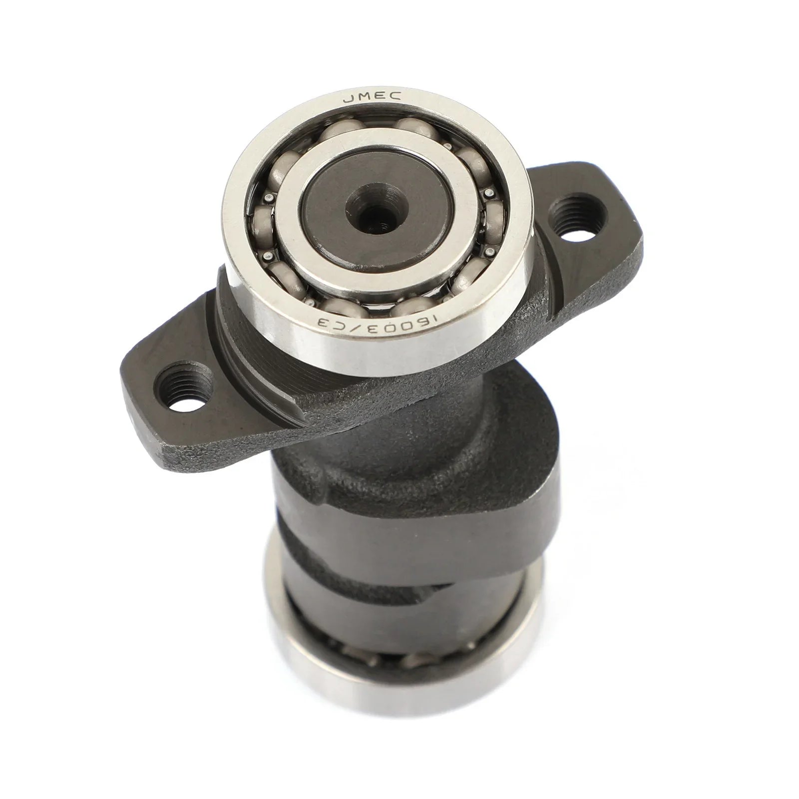 Areyourshop Kit de chaîne de distribution d'arbre à cames et de came pour HONDA TRX300EX Sportrax 300 TRX300X 1993-2008