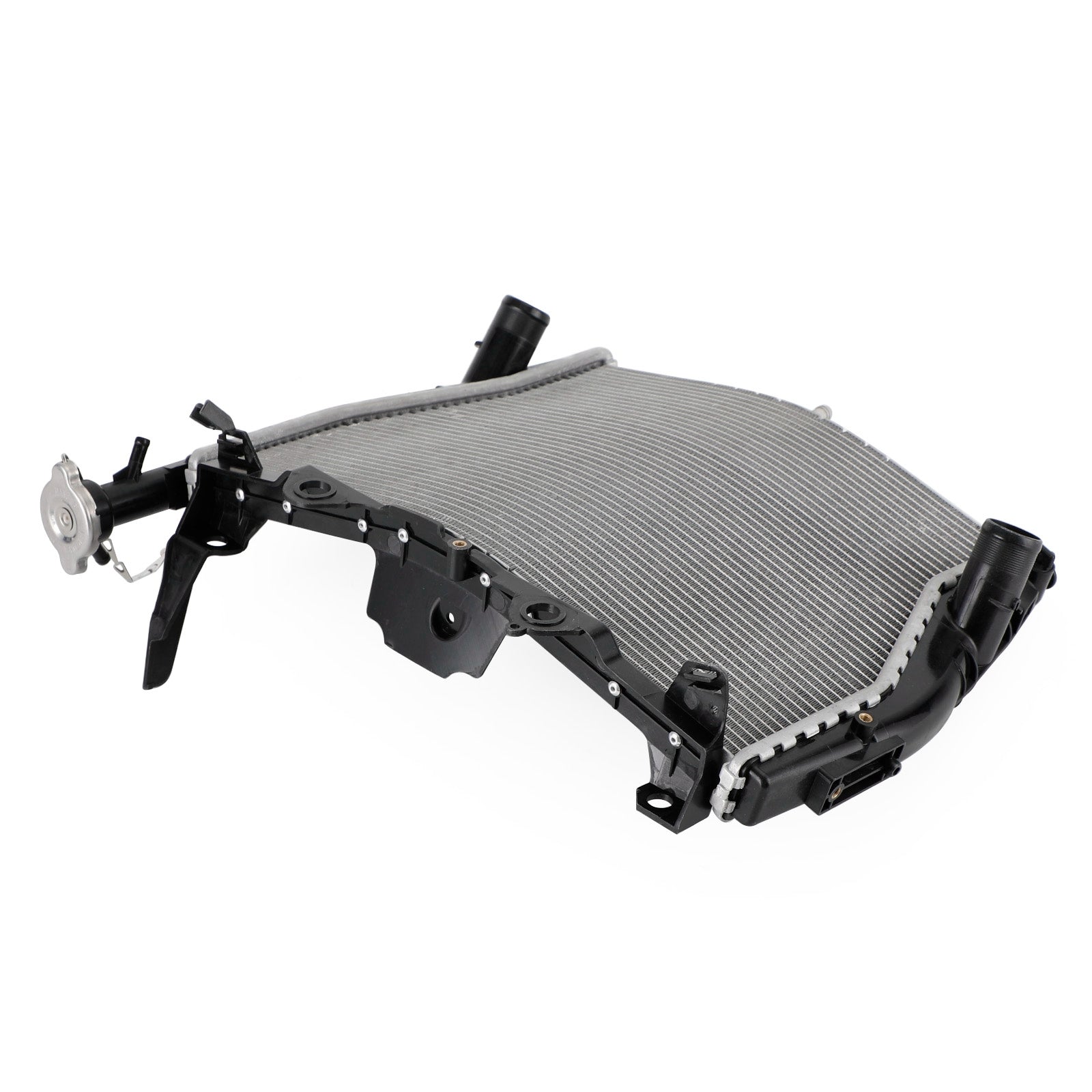 Refrigeración del radiador del motor BMW S1000RR 2009-2019