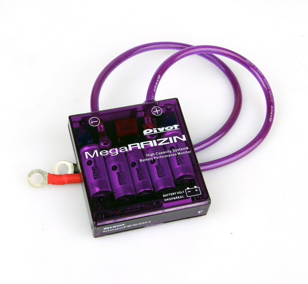 Mise à la terre universelle du régulateur de stabilisateur de tension d'économiseur de carburant PIVOT MEGA RAIZIN