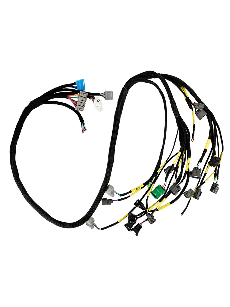 Cablaggio motore nascosto serie D&B Budget Budget per Civic Integra B16 B18 D16