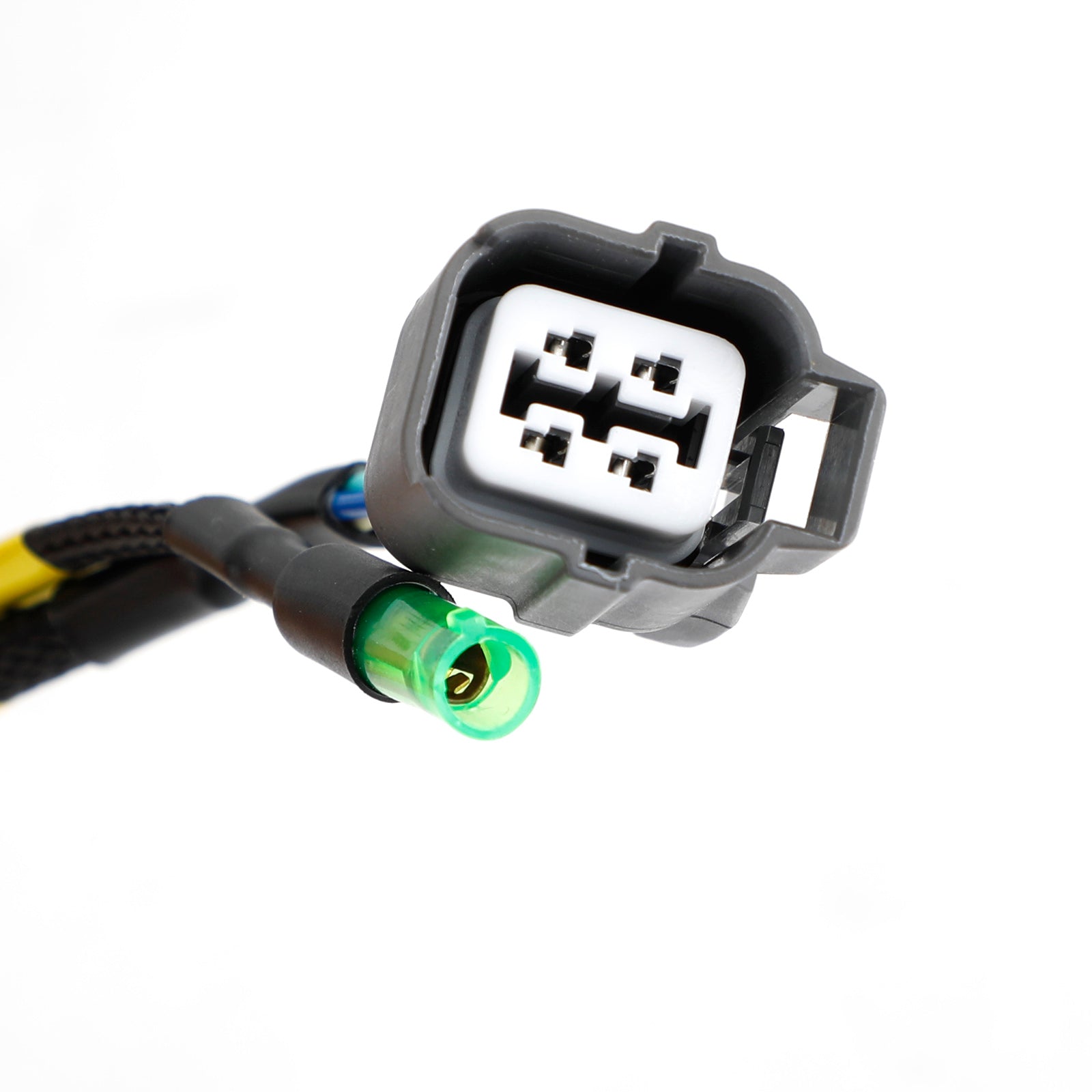 Cablaggio motore Honda Civic Integra B16 B18 D16 OBD2 Budget serie D e B