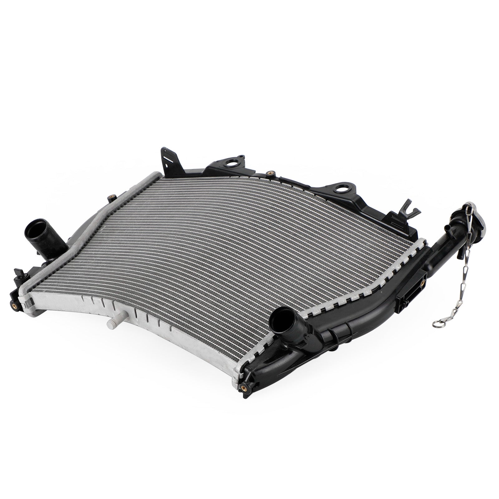 Refrigeración del radiador del motor BMW S1000RR 2009-2019