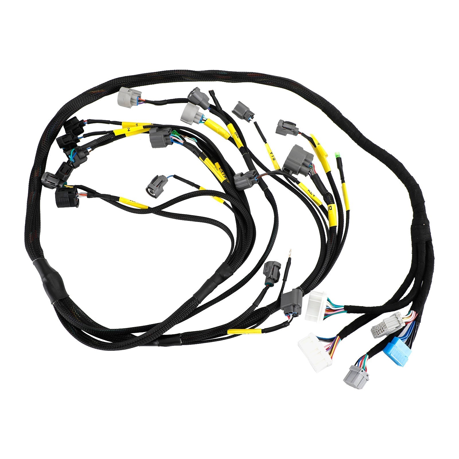 Cablaggio motore Honda Civic Integra B16 B18 D16 OBD2 Budget serie D e B