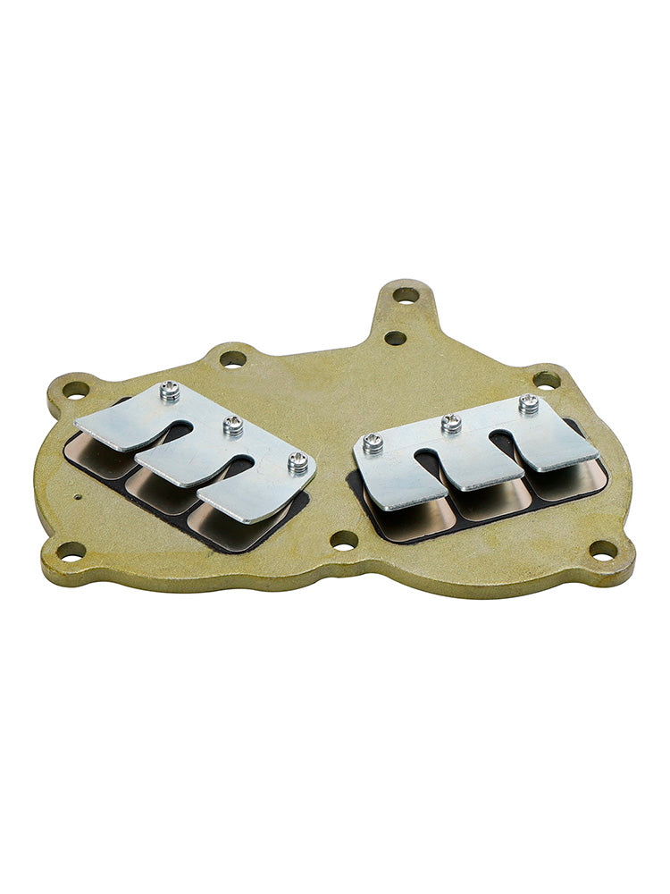 362-02100-1 Reed Valve Assy Tohatsun perämoottorille NS9.9 NS15 NS18 M9.9 M15 M18